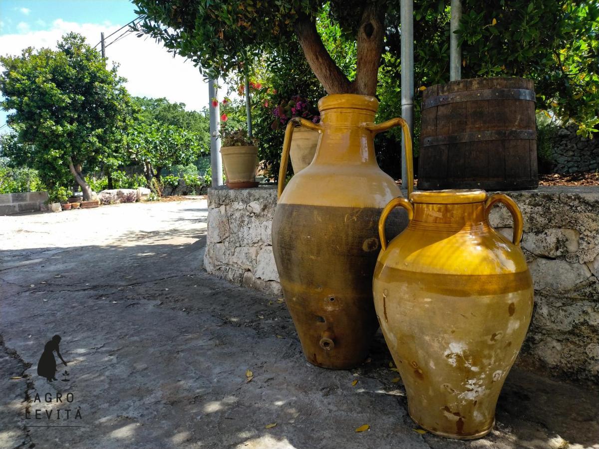 Agro Levita โลโกโรตอนโด ภายนอก รูปภาพ