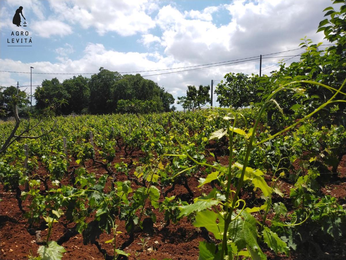 Agro Levita โลโกโรตอนโด ภายนอก รูปภาพ